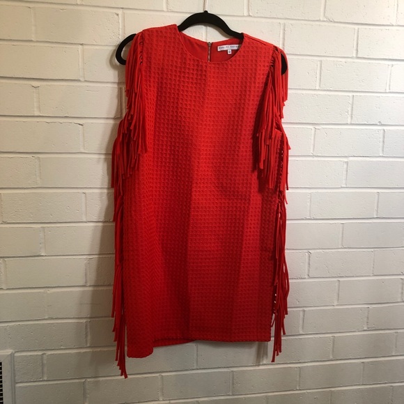 Bright Fringe Dress - Picture 10 of 16